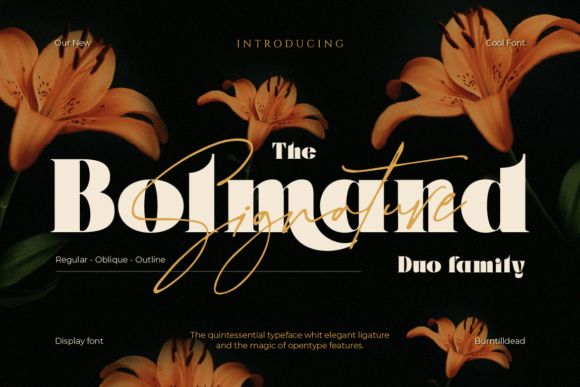 Bolmand Signature: A Display Font That Elevates Digital Branding