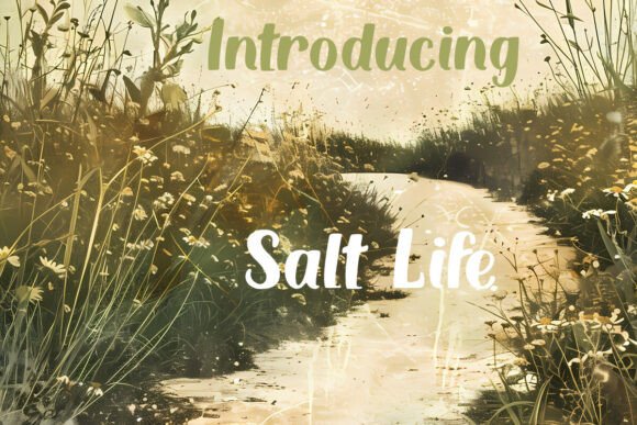 Salt Life: A Display Font That Makes Your Brand Feel Like Home